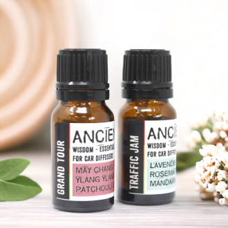 Aromatherapy Blends for Car Diffusers