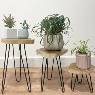 Wooden Plant Stands